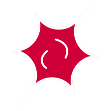 Uridine Monophosphate